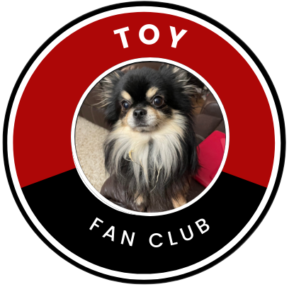 Toy Dog Breeds